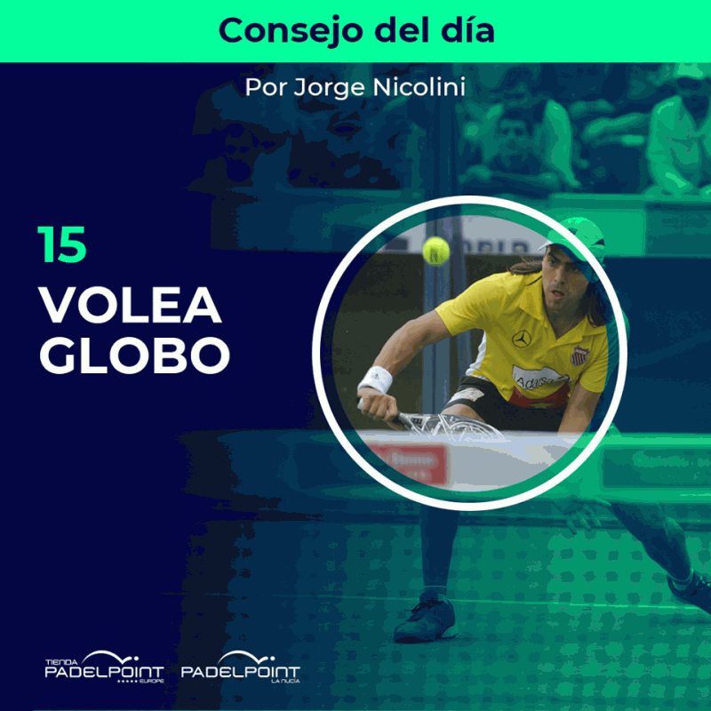 15. VOLEA GLOBO