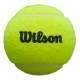 Wilson Padel Premier 3 Pote de Bolas