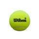 Wilson Padel Premier Speed Pote de 3 bolas