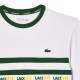 T-Shirt Lacoste Ultra Dry Verde Branco