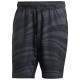 Pantaloncini Adidas Club Graphic Carbon